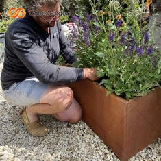 Вањски модерни Цортен Стеел вањски садња